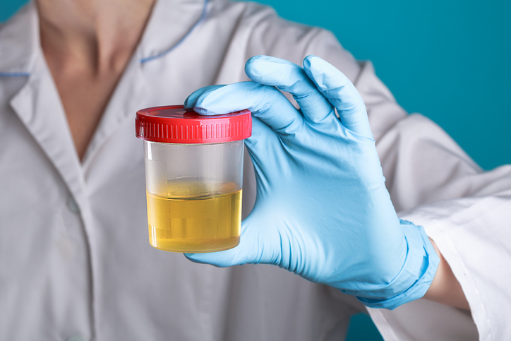 Incontinence et microbiote urinaire : quel rapport ?